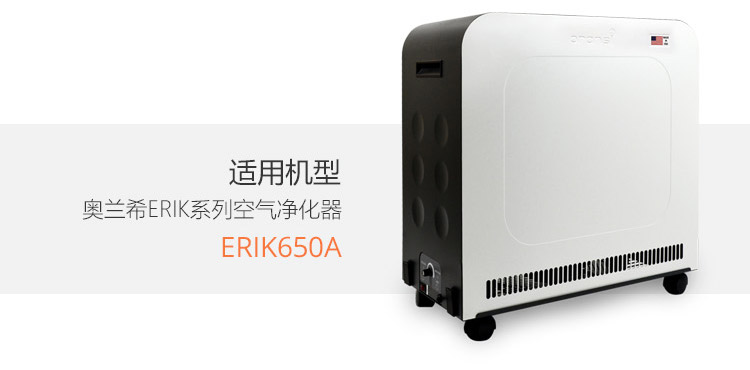 ERIK650A复合预过滤网10