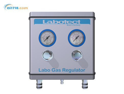 Labo Gas Regulator流量调节器