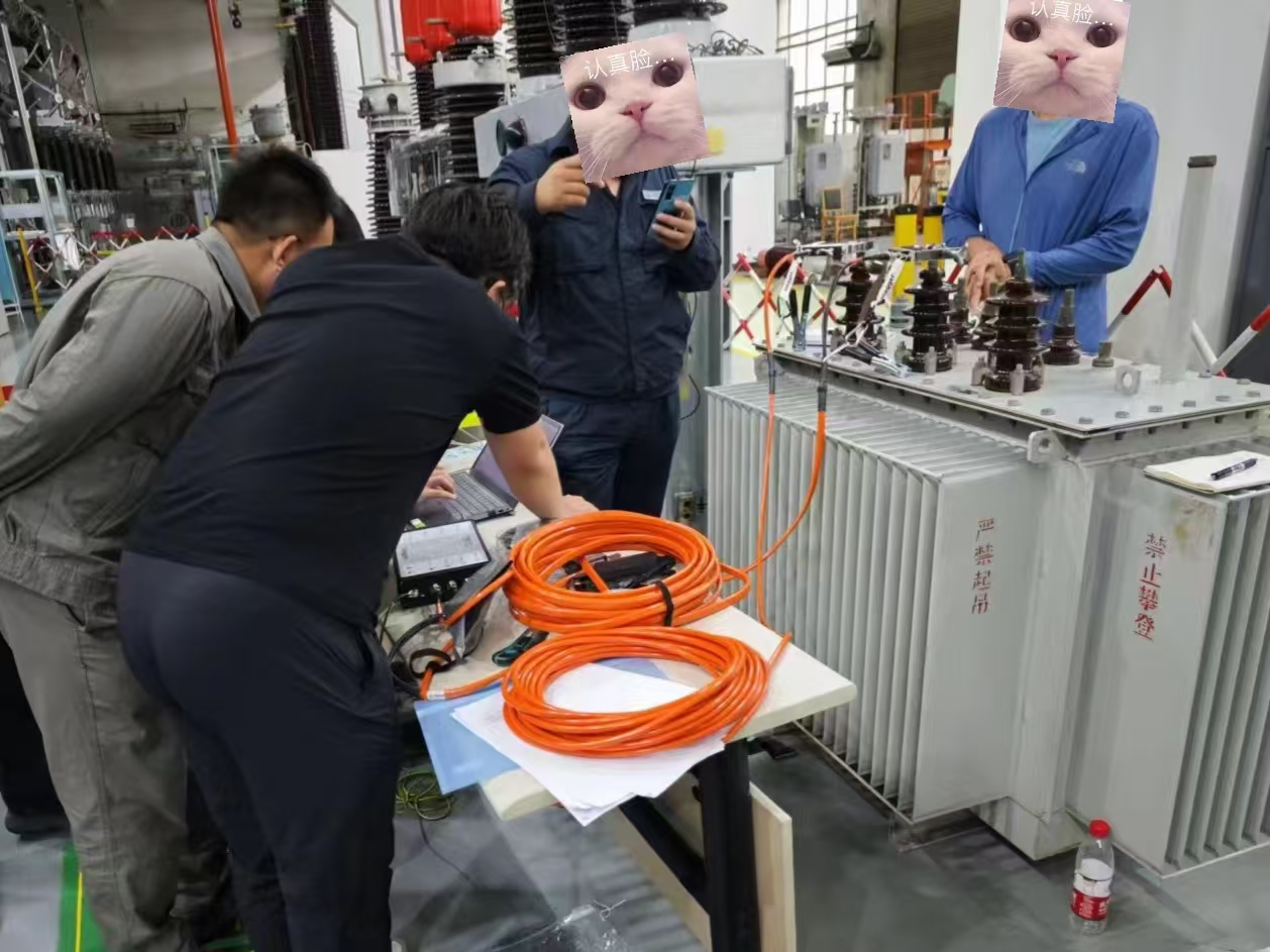 检测演示