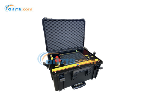 意大利synecom ALY101-05 SF6分析仪