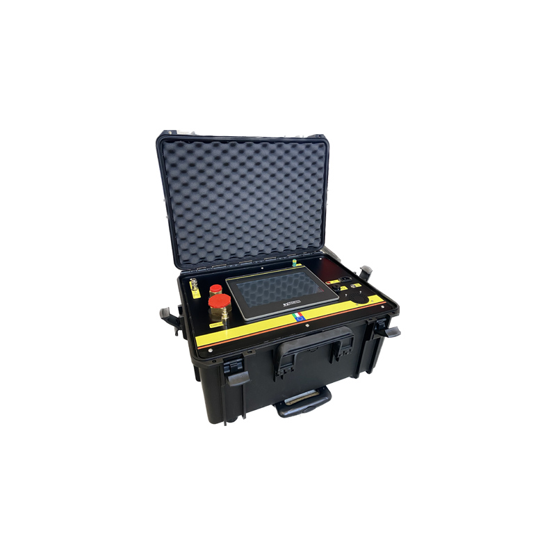 意大利synecom ALY101-05 SF6分析仪