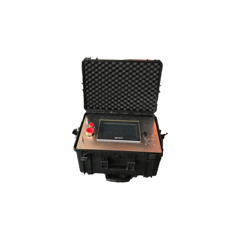 意大利synecom&emsp;ALY101-06 SF6分析仪