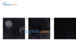 Gafchromic XR-SP2 工业射线照相胶片