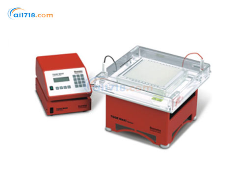TGGE MAXI温度梯度凝胶电泳